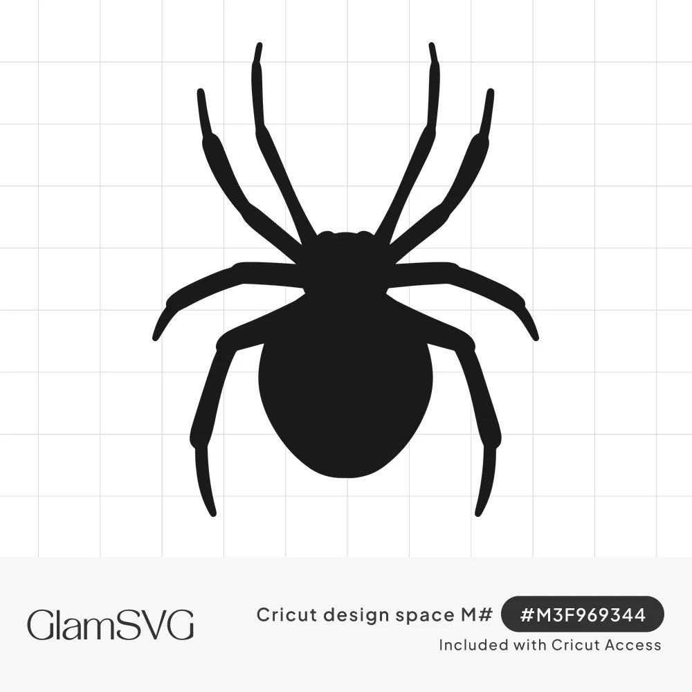 Solid black silhouette of a spider viewed from above with eight long legs spread around a round body
