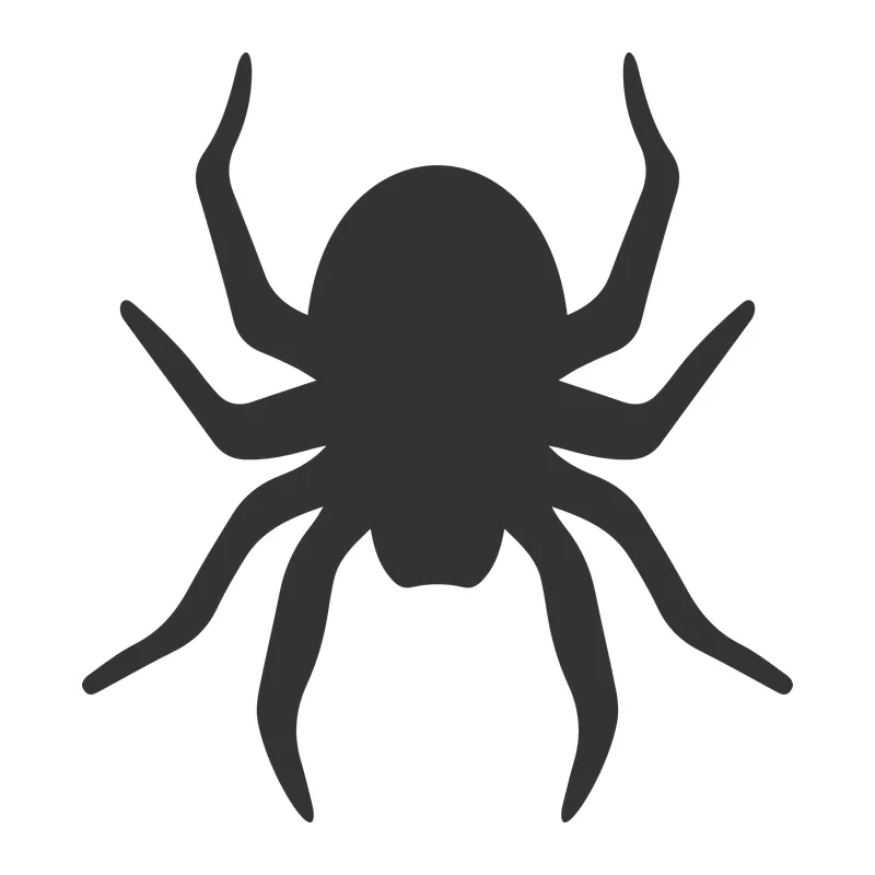 Spider Silhouette