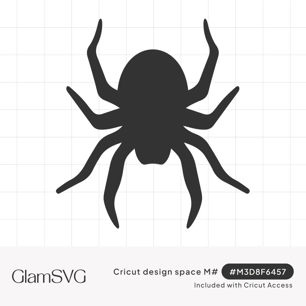 Solid dark gray spider silhouette with eight long jointed legs and an oval body, viewed from above