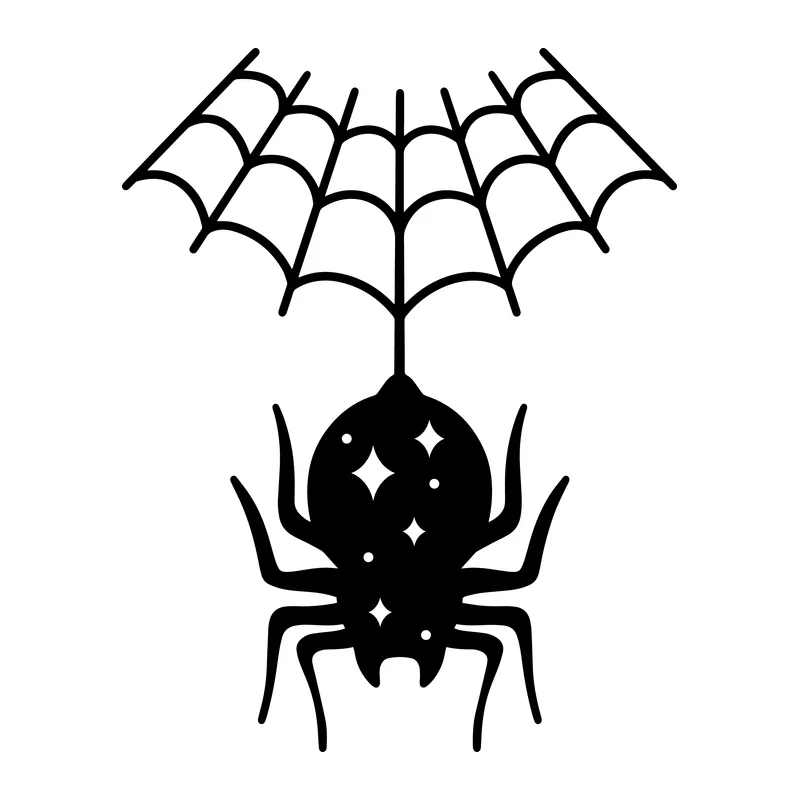 Hanging Spider With Web