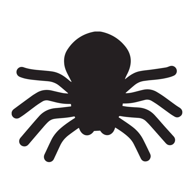 Spider Silhouette