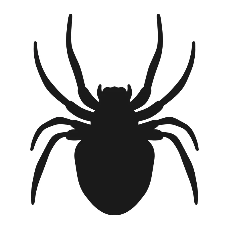 Spider Silhouette