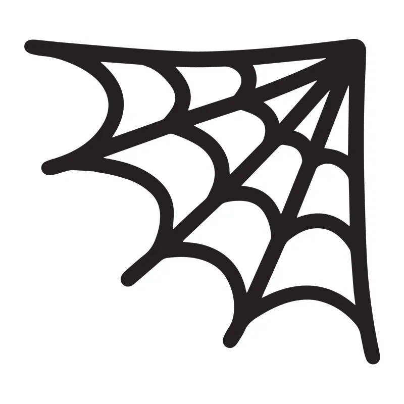 Corner Spiderweb