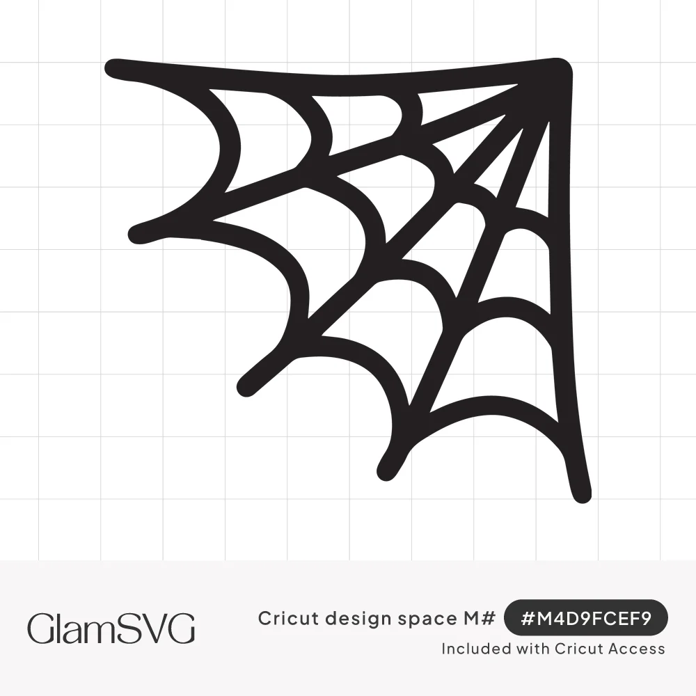 Black corner spiderweb with curved strands stretched between straight spokes on a white background