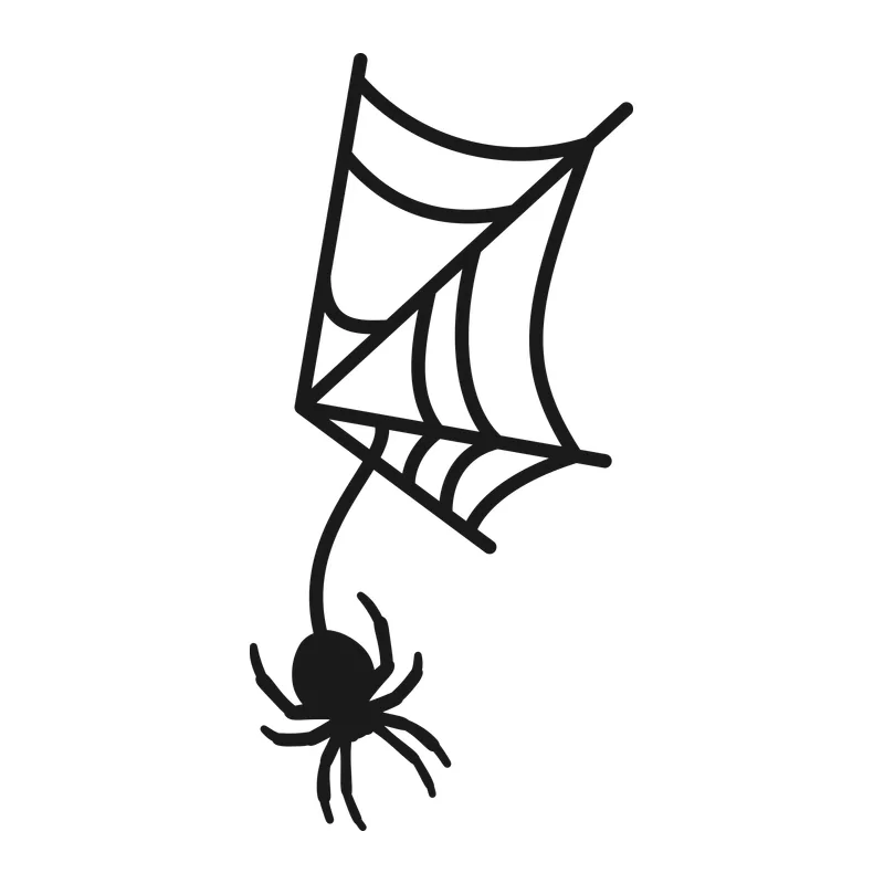Spiderweb and Spider
