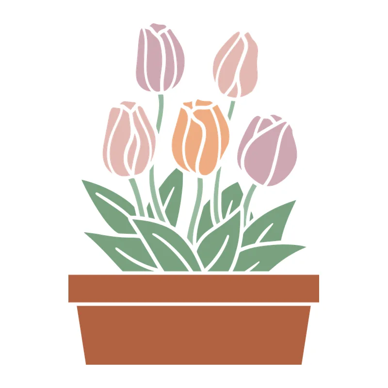 Potted Spring Tulips