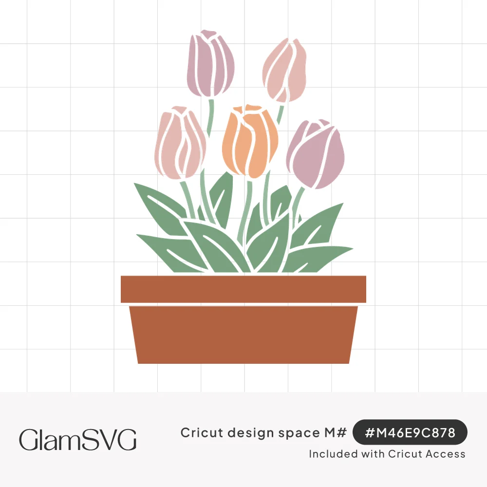 Five pastel pink, mauve and peach tulips with green leaves growing in a rust-colored terracotta flower pot