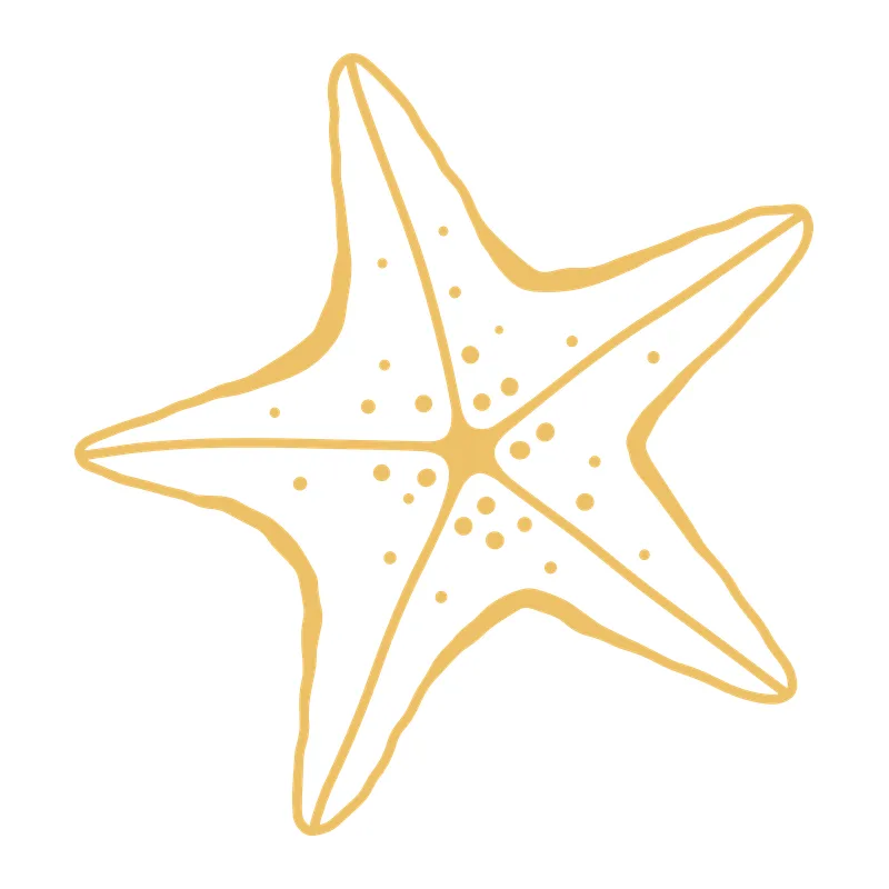 Hand-Drawn Starfish