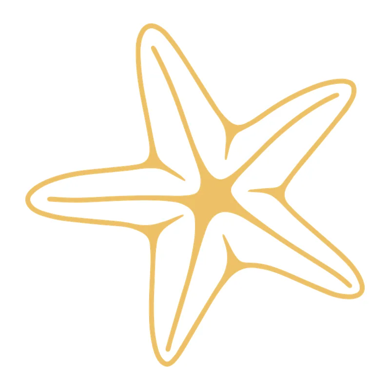 Hand-Drawn Starfish