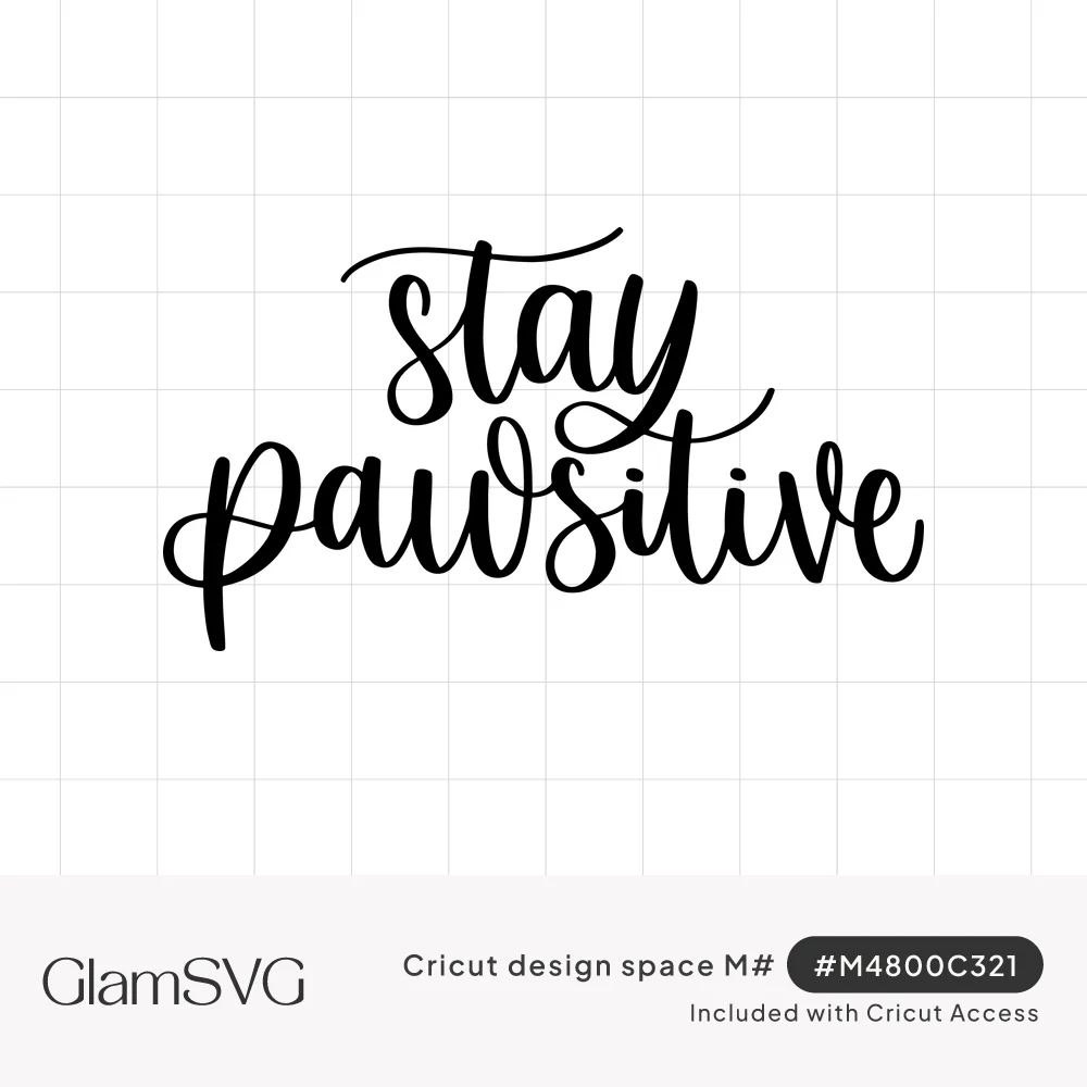 Black brush script lettering reading "stay pawsitive" with looping swashes on a white background