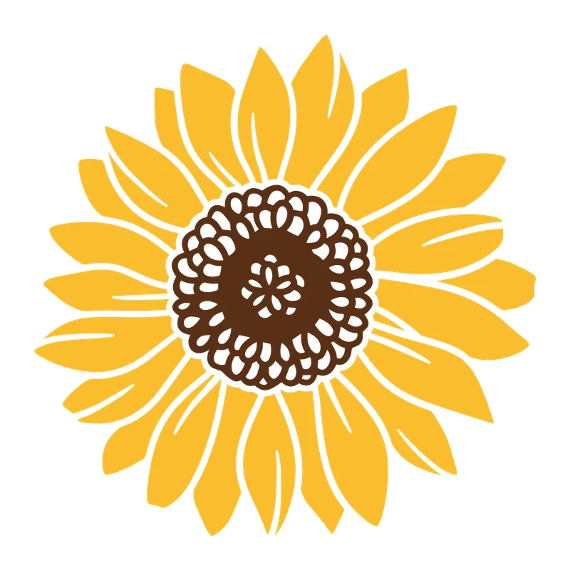 Sunflower Bloom