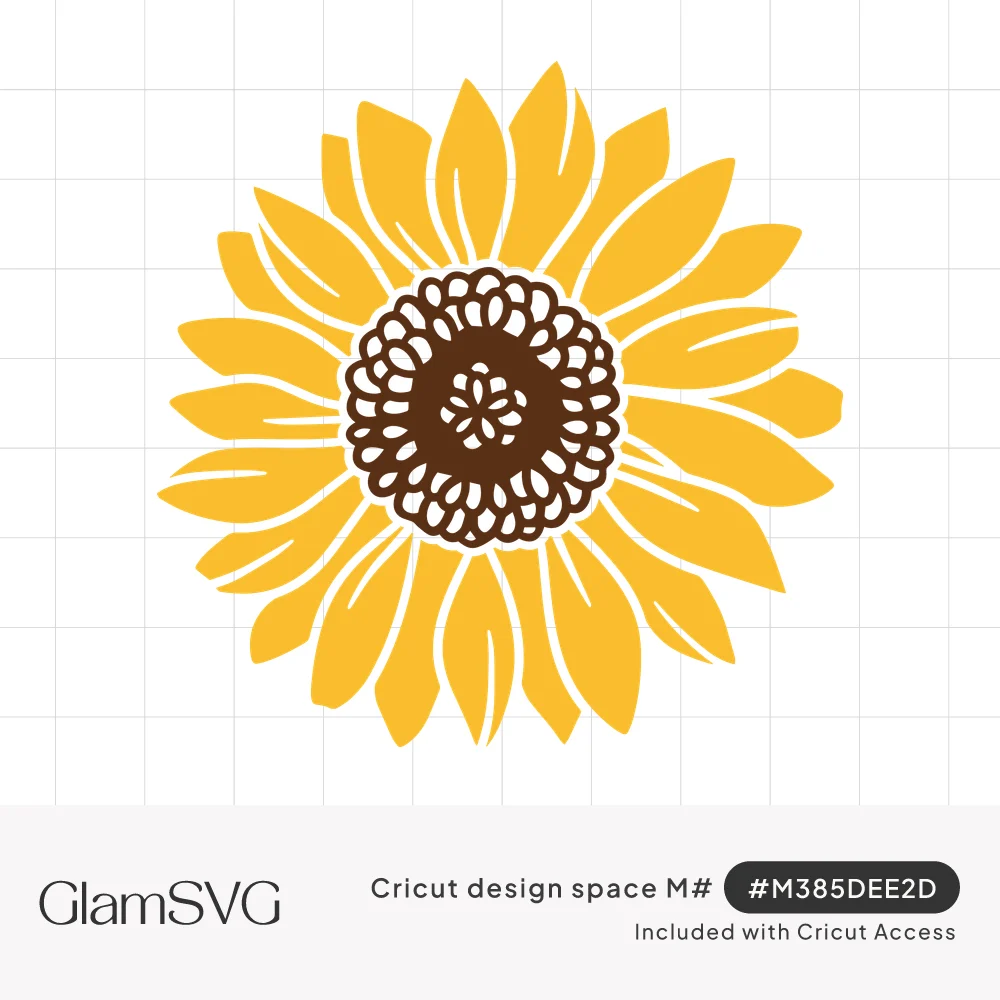 Yellow sunflower with two rings of pointed petals around a brown lace-patterned seed center
