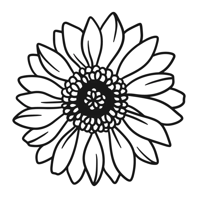 Sunflower Line Art Bloom
