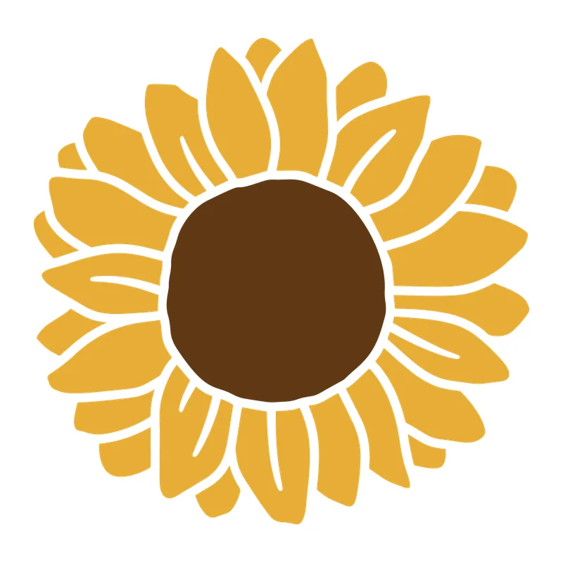 Sunflower Bloom