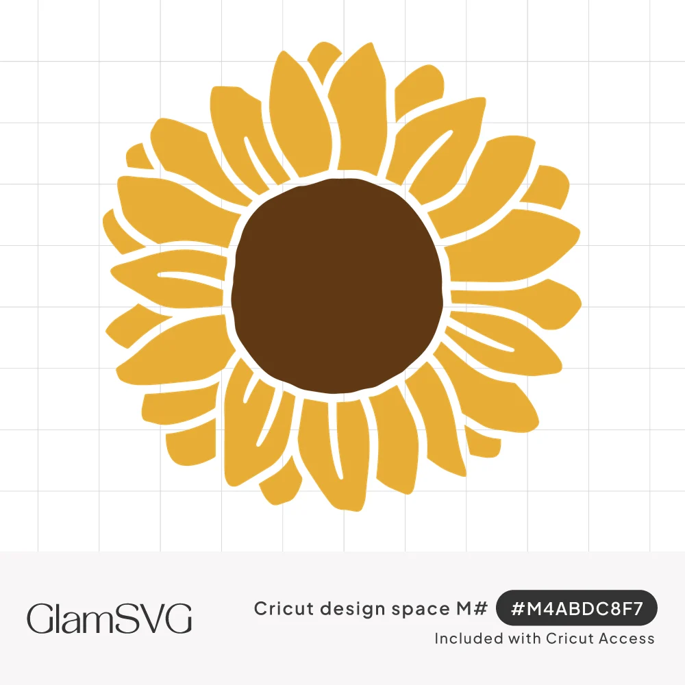 Golden yellow sunflower with two layers of rounded petals around a dark brown center on a white background