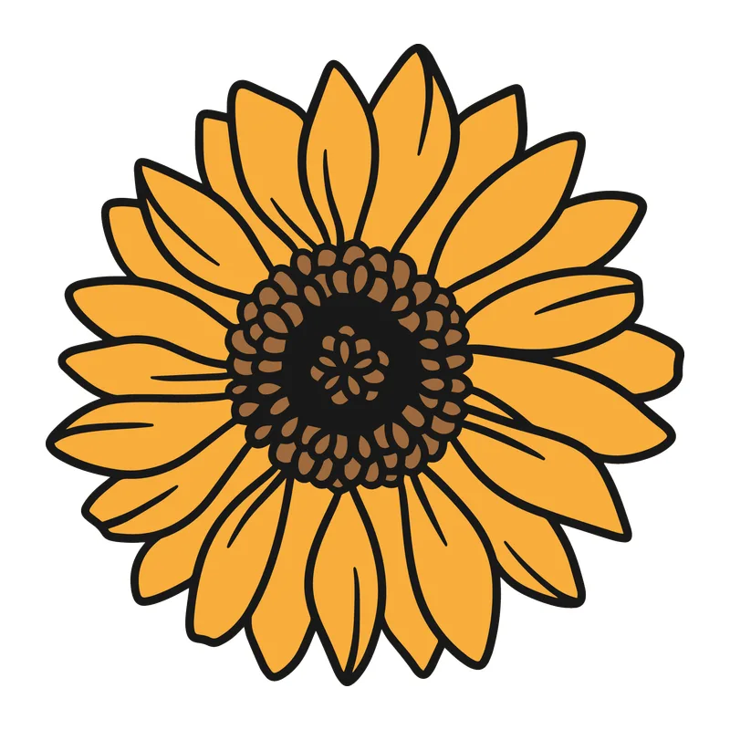 Sunflower Bloom