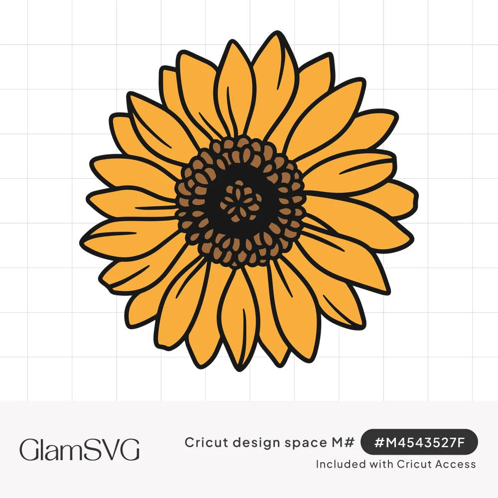 Golden yellow sunflower with two layers of petals, a dotted brown seed center and bold black outlines