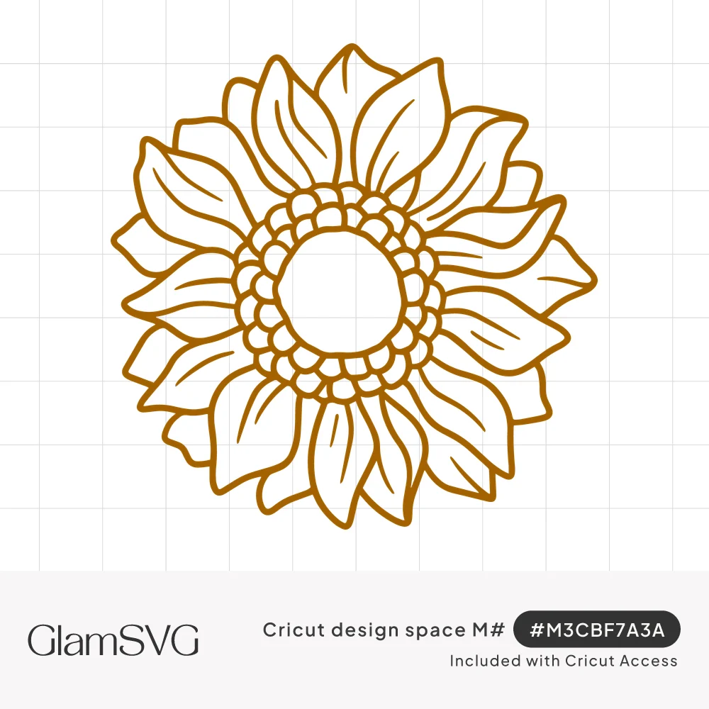 Golden outline drawing of a sunflower with two layers of veined petals and an open center ringed by round seeds