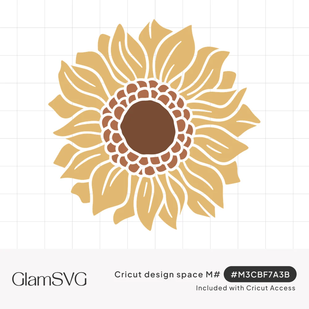 Face-on sunflower with golden yellow veined petals around a rust and dark brown seed center