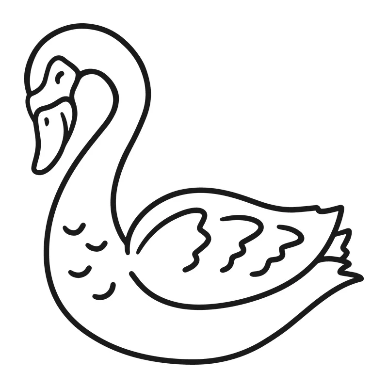 Graceful Swan Outline