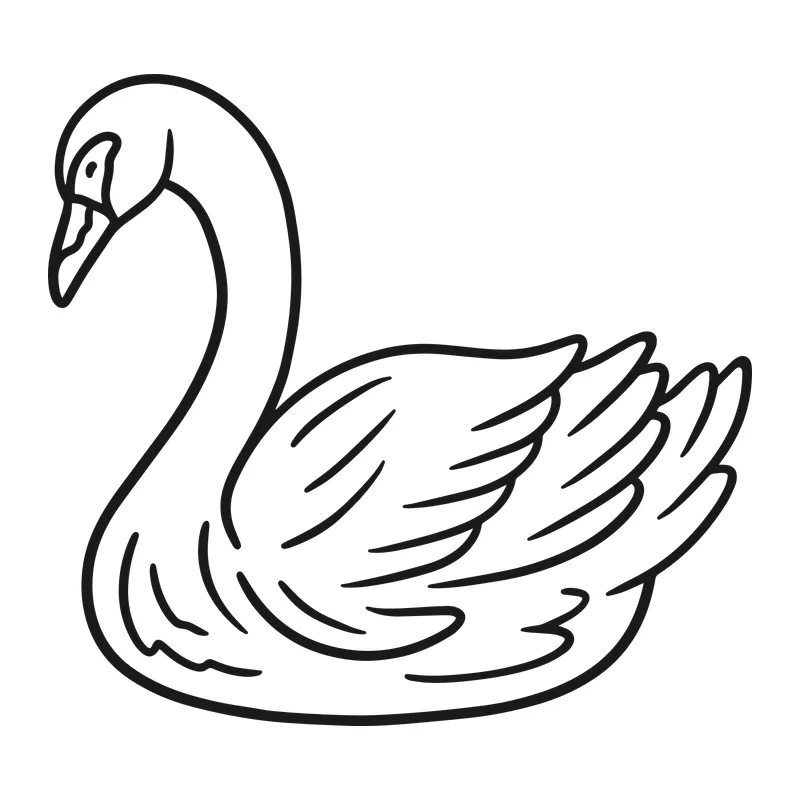 Graceful Swan Line Art