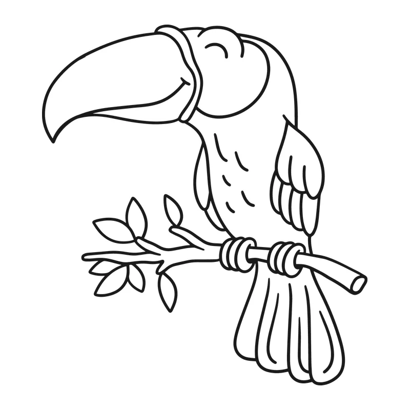 Toucan on a Branch