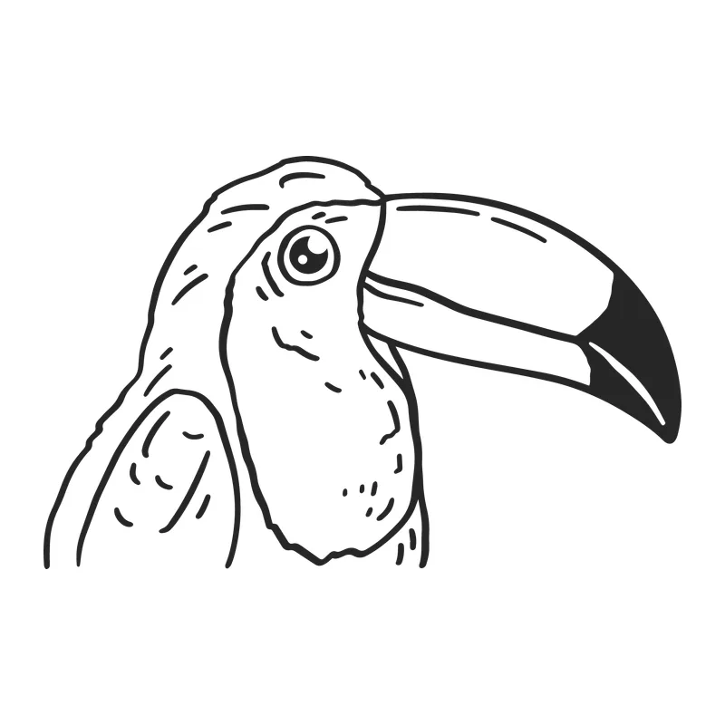 Toucan Line Drawing