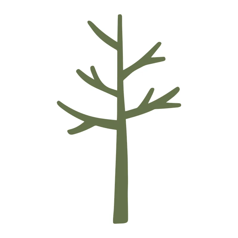 Bare Branch Tree