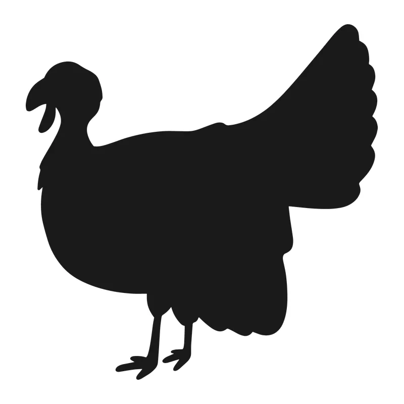 Turkey Silhouette