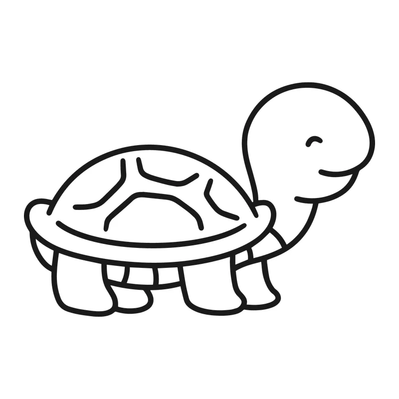 Cute Smiling Turtle
