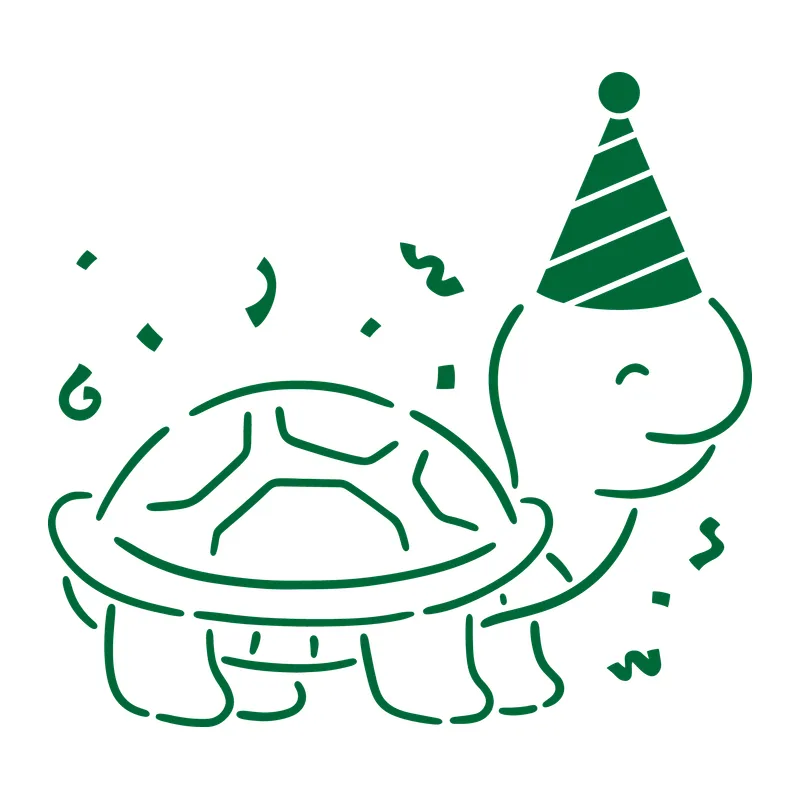 Birthday Party Turtle