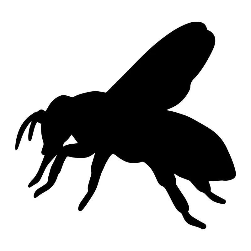Wasp Silhouette