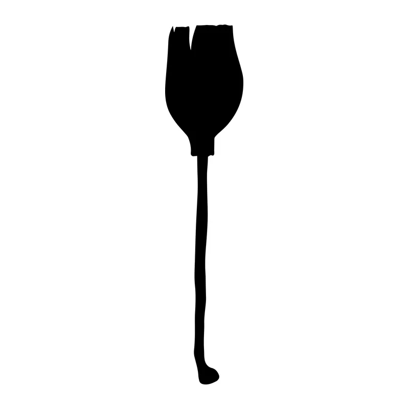 Witch Broom Silhouette
