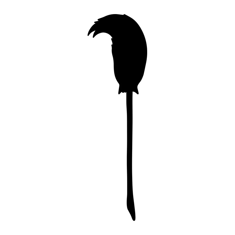 Witch Broom Silhouette