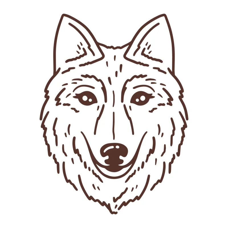 Hand Drawn Wolf Face
